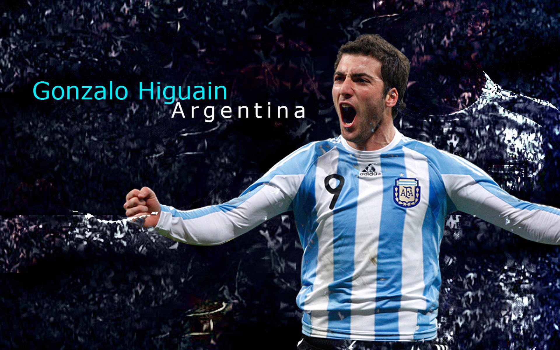 NBA球员赛季技术动作解析，nba球员赛季技术动作解析图